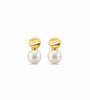 Sorelle White Pearl Earrings – 14kt Gold Plated