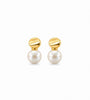 Sorelle White Pearl Earrings – 14kt Gold Plated - Plum Petal